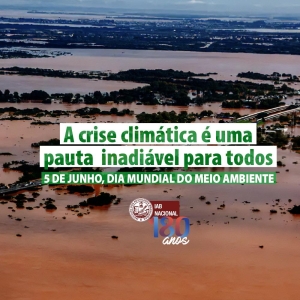 Dia do Meio Ambiente: IAB cobra políticas públicas para evitar desastres como o do RS