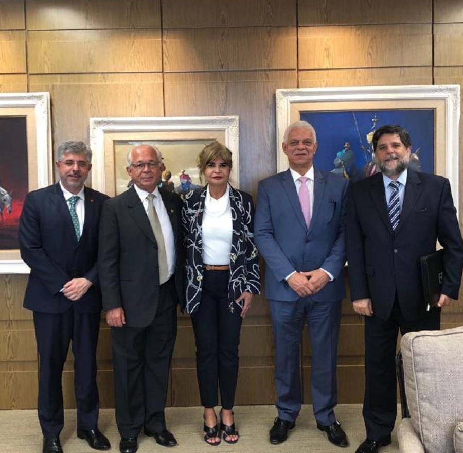 Em Brasília, Rita Cortez dá posse a representantes do IAB e faz visita  institucional ao presidente do TST - IAB